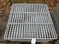 Stalrooster (13x) - afbeelding 4 van  4