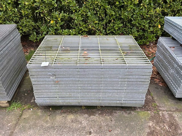 Stalrooster (16x) - afbeelding 2 van  4