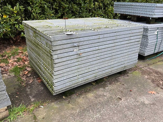 Stalrooster (16x) - afbeelding 3 van  4