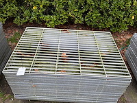 Stalrooster (16x) - afbeelding 4 van  4