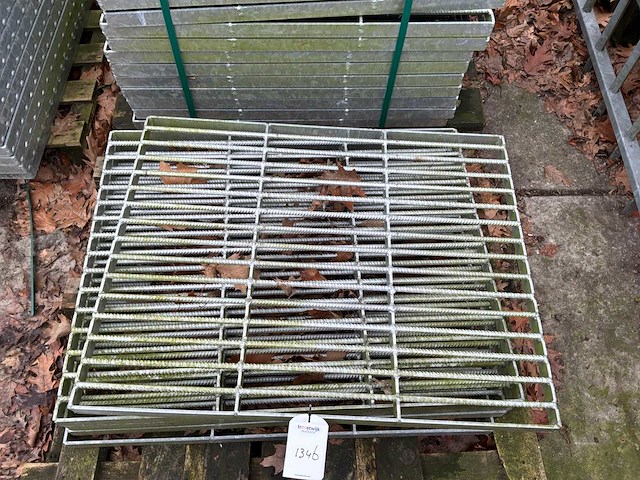 Stalrooster (30x) - afbeelding 4 van  4