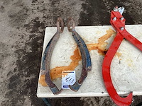 Stammen klem - afbeelding 6 van  6