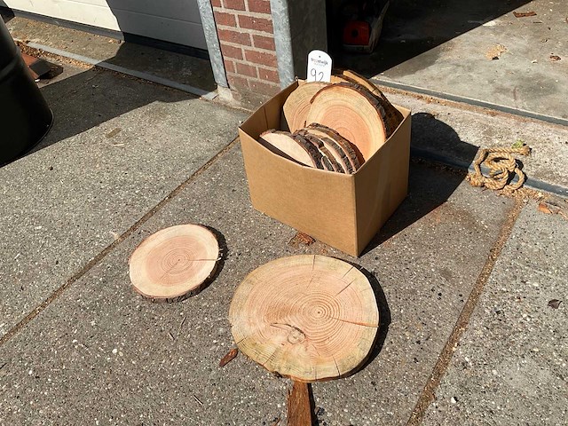 Stamschijven douglas 20 mm - afbeelding 2 van  2