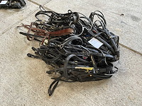 Stang en trenshoofstel (13x) - afbeelding 1 van  3