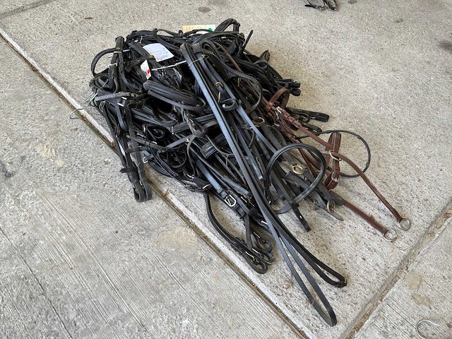 Stang en trenshoofstel (13x) - afbeelding 2 van  3