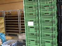 Stapelbare transportkratten - 25 stuks - afbeelding 1 van  1