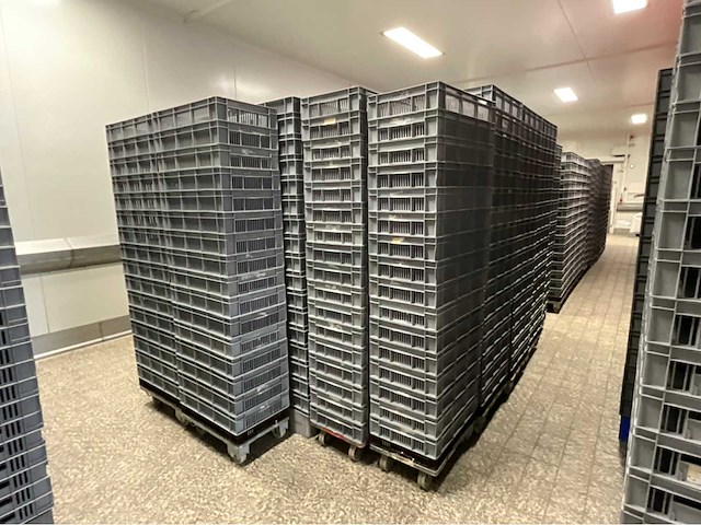 Stapelkrat (380x) - afbeelding 2 van  3
