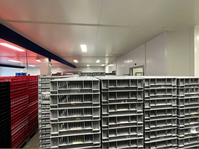 Stapelkrat (470x) - afbeelding 3 van  3
