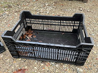 Stapelkrat (62x) - afbeelding 4 van  6