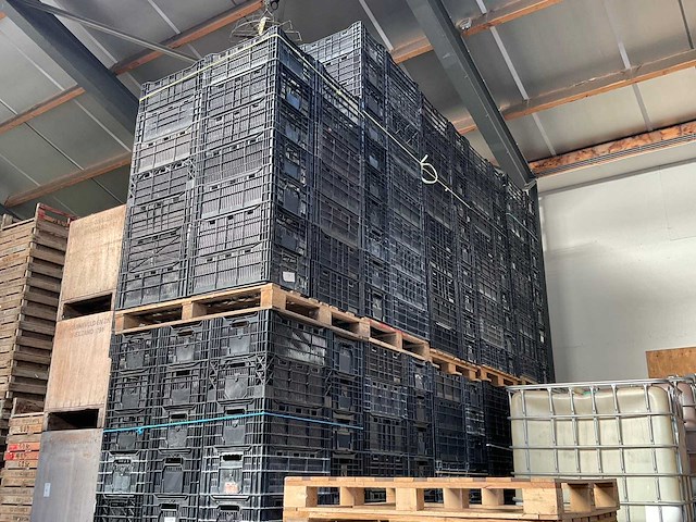 Stapelkrat (ca. 485x) - afbeelding 1 van  4