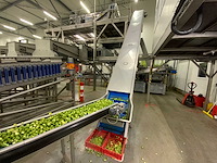 Stas sorteerlijn combinatiekavel van lots 1 t/m 10 - afbeelding 74 van  169