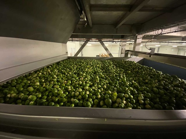 Stas sorteerlijn combinatiekavel van lots 1 t/m 10 - afbeelding 141 van  169