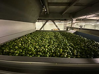 Stas sorteerlijn combinatiekavel van lots 1 t/m 10 - afbeelding 141 van  169