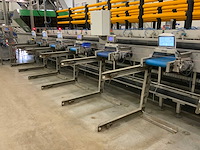 Stas sorteerlijn combinatiekavel van lots 1 t/m 10 - afbeelding 137 van  169