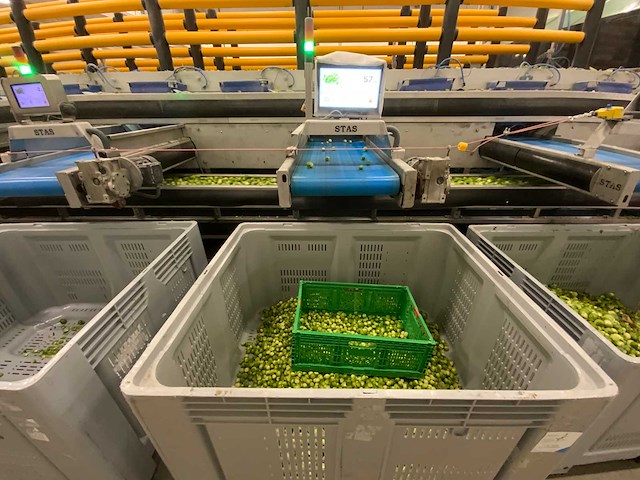 Stas sorteerlijn combinatiekavel van lots 1 t/m 10 - afbeelding 148 van  169