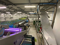 Stas sorteerlijn combinatiekavel van lots 1 t/m 10 - afbeelding 161 van  169