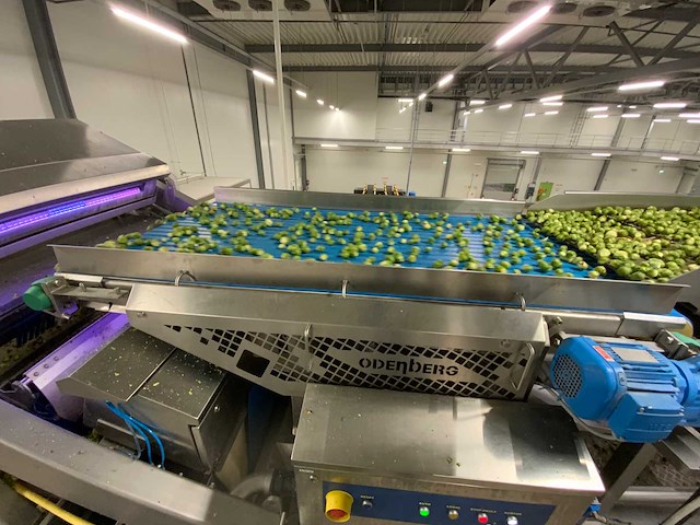 Stas sorteerlijn combinatiekavel van lots 1 t/m 10 - afbeelding 163 van  169