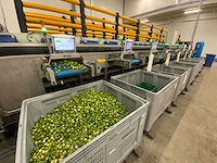 Stas sorteerlijn combinatiekavel van lots 1 t/m 10 - afbeelding 159 van  169