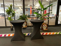 Statafels met planten (7x) - afbeelding 9 van  16