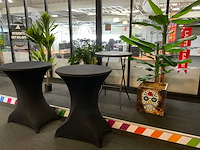 Statafels met planten (7x) - afbeelding 10 van  16