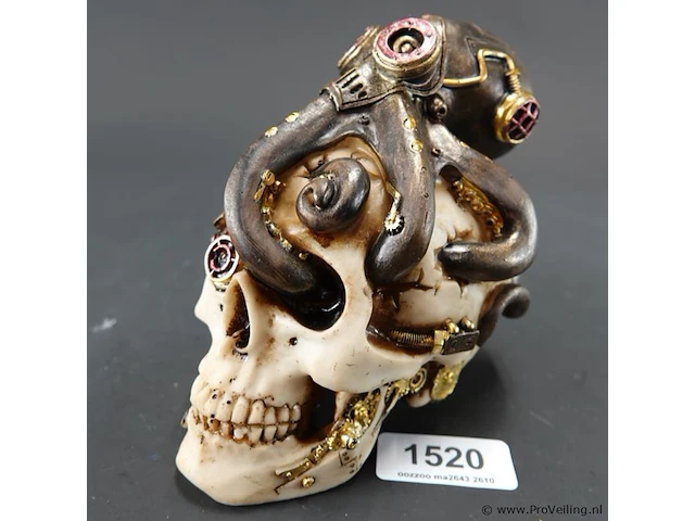 Steampunk schedel met octopus - afbeelding 1 van  5