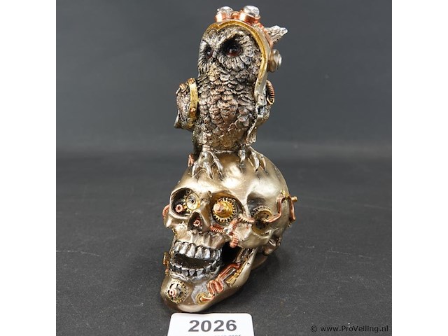 Steampunk schedel met uil - afbeelding 1 van  5