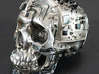 Steampunk schedel