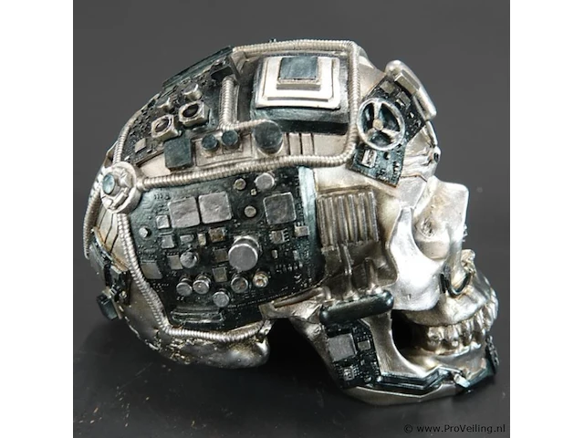 Steampunk schedel - afbeelding 3 van  5