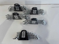 Steek- en ringsleutelset 6-delig (5x)