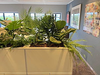 Steelcase - 2x stalen kast met kunstplanten - grijs - afbeelding 8 van  10