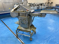 Steen 600 rvs visontvellingsmachine