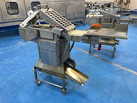Steen 600 rvs visontvellingsmachine