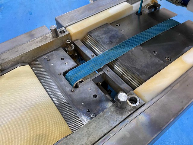 Steen 600 rvs visontvellingsmachine - afbeelding 3 van  6