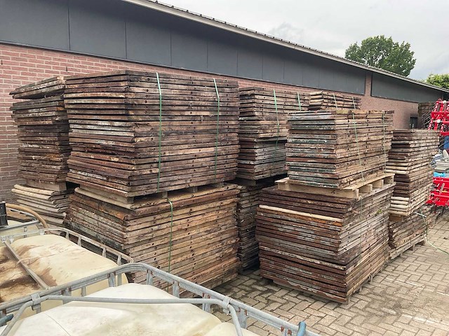 Steen schotten (45x) - afbeelding 5 van  5