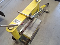 Steenknipper almi - afbeelding 2 van  4
