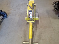Steenknipper almi - afbeelding 3 van  4