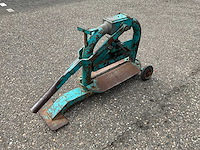 Steenknipper - afbeelding 1 van  6