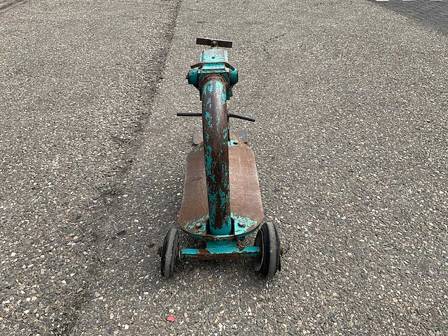 Steenknipper - afbeelding 3 van  6