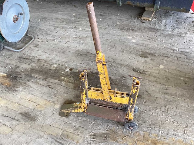 Steenknipper - afbeelding 3 van  4