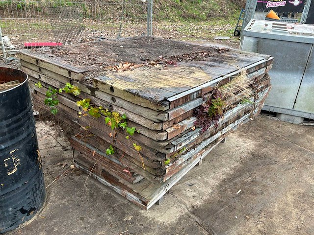 Steenschot (150x) - afbeelding 2 van  4