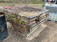 Steenschot (150x) - afbeelding 2 van  4