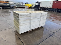 Stegdoppel plaat (65x) - afbeelding 1 van  6