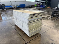 Stegdoppel plaat (65x) - afbeelding 4 van  6