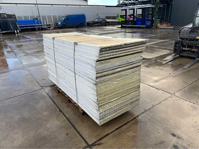 Stegdoppel plaat (65x) - afbeelding 4 van  6