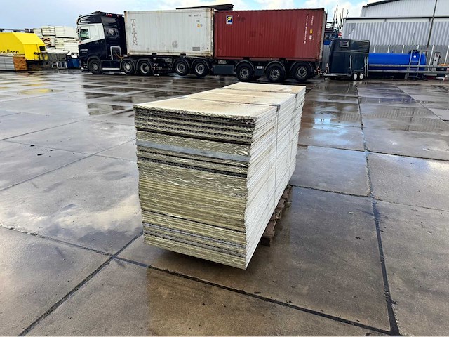 Stegdoppel plaat (65x) - afbeelding 2 van  6