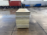 Stegdoppel plaat (65x) - afbeelding 1 van  6