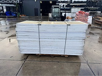 Stegdoppel plaat (65x) - afbeelding 2 van  6