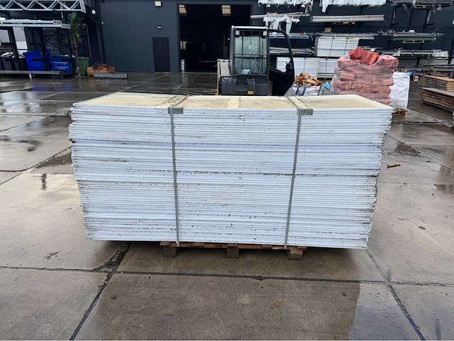 Stegdoppel plaat (65x) - afbeelding 5 van  6