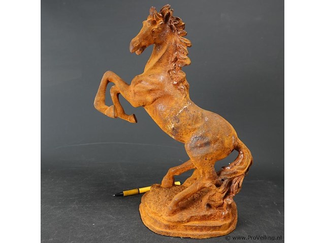 Steigerend ijzeren paard - afbeelding 2 van  5
