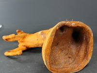 Steigerend ijzeren paard - afbeelding 5 van  5